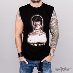 Tank Amplified David Bowie Wourld Tour