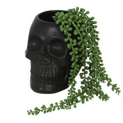 Doniczka Black Skull Plant Pot Big
