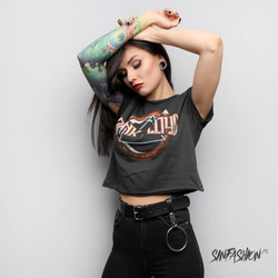 Crop Amplified Pink Floyd On The Run