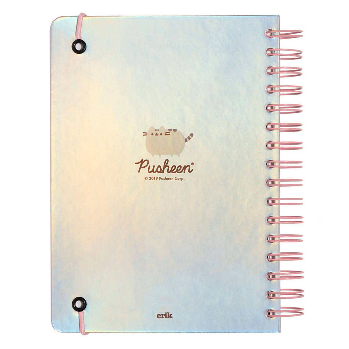 Notes Pusheen Pizza Purrty A5