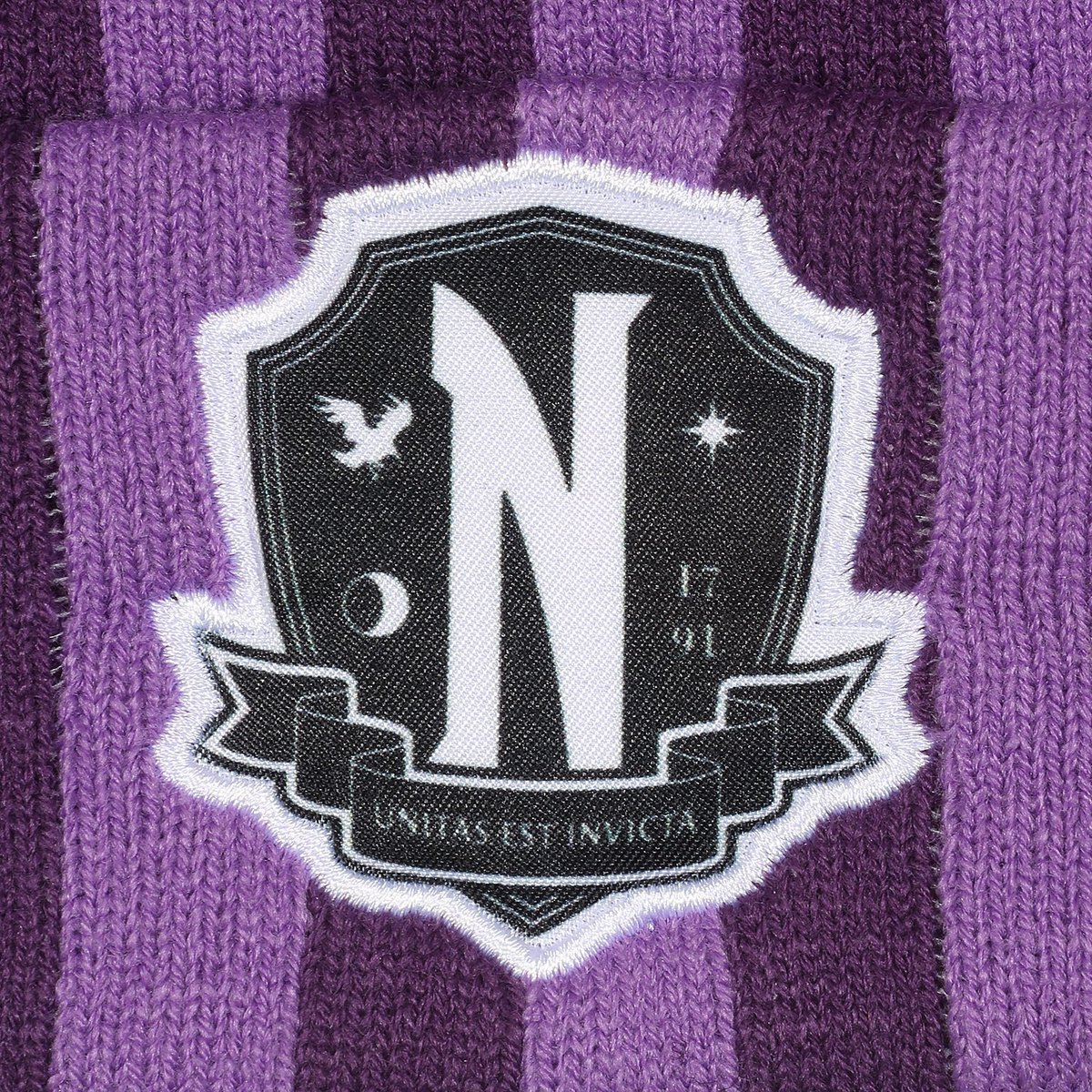 Czapka zimowa Wednesday Nevermore Logo